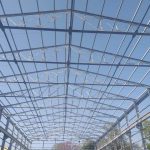 company interior designers